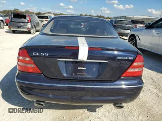 2002 Mercedes-Benz CL AMG with VIN WDBPJ73J02A021435, listed as a Copart auction lot 77801194 with Not Provided miles and Salvage Title. Bid and sale history available at carsss.com. Image 6.