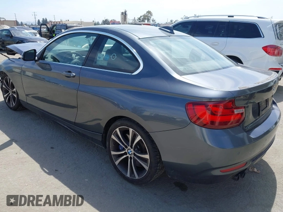 2016 BMW 2 Series 228i with VIN WBA1F9C57GV544455, listed as a IAAI auction lot 42268534 with 96,942 mi miles and . Bid and sale history available at DreamBid. Image 3.