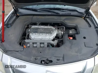 2009 Acura TL Tech with VIN 19UUA86519A013039, listed as a IAAI auction lot 41656570 with 241,217 mi miles. Bid and sale history available at carsss.com. Image 10.