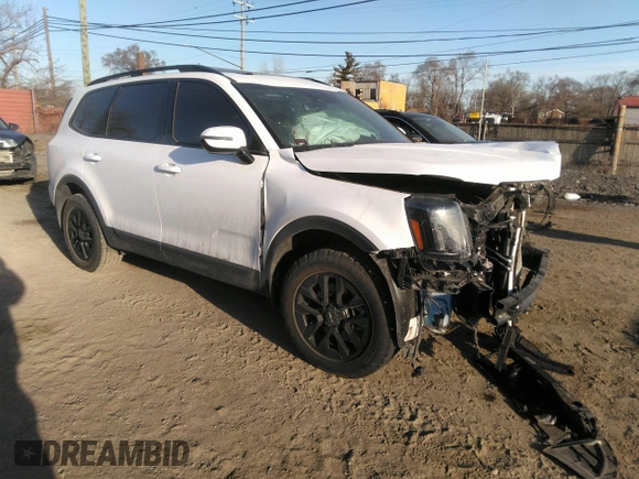 2024 Kia Telluride SX Prestige with VIN 5XYP5DGC8RG505640, listed as a IAAI auction lot 41781775 with 14,232 mi miles and . Bid and sale history available at DreamBid. Image 1.