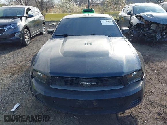 2010 Ford Mustang V6 with VIN 1ZVBP8AN6A5120674, listed as a IAAI auction lot 41986060 with 144,388 mi miles and . Bid and sale history available at carsss.com. Image 12.