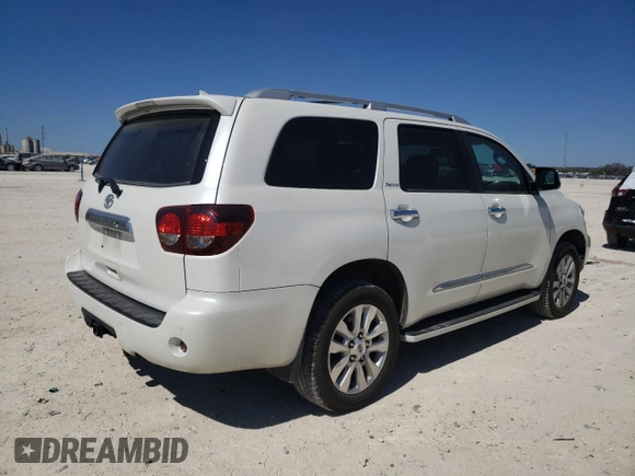 2019 Toyota Sequoia Platinum with VIN 5TDDY5G1XKS173918, listed as a Copart auction lot 45307304 with 63,343 mi miles. Bid and sale history available at carsss.com. Image 3.