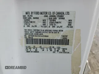2003 Ford F-150 XL z VIN 2FTRX18L93CA55860, wystawiony jako Copart lot #57402295 z przebiegiem 312 879 mil mil oraz Szkoda całkowita • Salvage title. Historia ofert i sprzedaży dostępna na DreamBid. Obrazek 12.