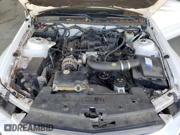2006 Ford Mustang Standard with VIN 1ZVFT80N565196196, listed as a Copart auction lot 62432655 with 179,502 mi miles and Clean title. Bid and sale history available at DreamBid. Image 11.