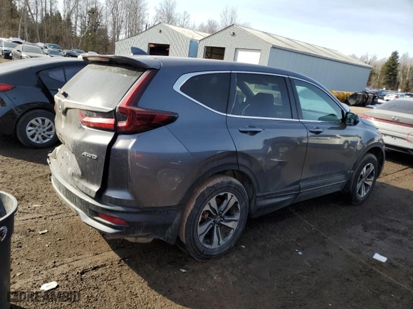 2020 Honda CR-V LX with VIN 2HKRW2H29LH240131, listed as a Copart auction lot 48787925 with 81,415 mi miles and Salvage Title. Bid and sale history available at carsss.com. Image 3.