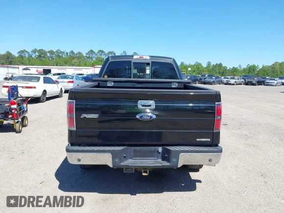 2013 Ford F-150 XL with VIN 1FTFX1EF4DFE09064, listed as a IAAI auction lot 42019665 with 249,430 mi miles. Bid and sale history available at carsss.com. Image 16.