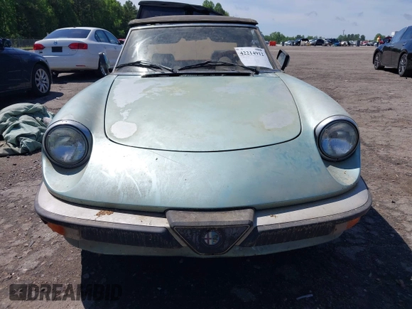 1983 Alfa Romeo Spider Veloce z VIN ZARBA5411D1016042, wystawiony jako IAAI lot #42214912 z przebiegiem 51 581 mil mil oraz . Historia ofert i sprzedaży dostępna na DreamBid. Obrazek 6.