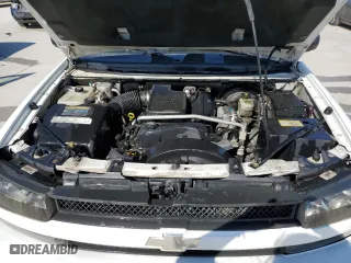 2005 Chevrolet TrailBlazer LS with VIN 1GNES16S456172896, listed as a Copart auction lot 78095394 with 191,248 mi miles and Salvage Title. Bid and sale history available at carsss.com. Image 12.
