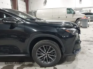 2022 Lexus NX with VIN JTJAGCEZ0N2003241, listed as a IAAI auction lot 41509411 with 53,287 mi miles. Bid and sale history available at carsss.com. Image 18.