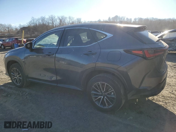 2023 Lexus NX with VIN JTJAGCEZ6P5005304, listed as a Copart auction lot 87232564 with 11,334 mi miles and Salvage Title. Bid and sale history available at carsss.com. Image 2.