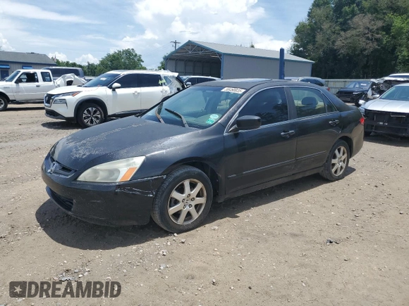 2005 Honda Accord EX-L z VIN 1HGCM66595A079369, wystawiony jako Copart lot #58450835 z przebiegiem 228 485 mil mil oraz Czysty tytuł • Clean title. Historia ofert i sprzedaży dostępna na DreamBid. Obrazek 1.