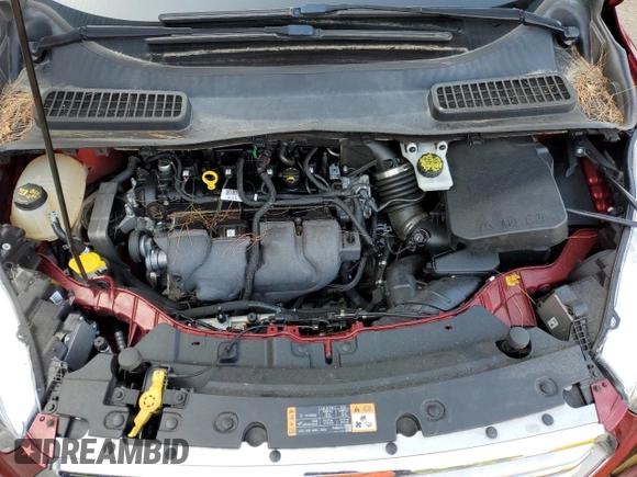 2018 Ford Escape Titanium with VIN 1FMCU9J93JUA39495, listed as a Copart auction lot 66334685 with Not provided miles and Clean title. Bid and sale history available at DreamBid. Image 12.