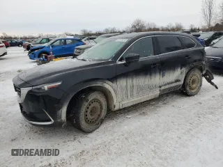 2020 Mazda CX-9 Grand Touring with VIN JM3TCBDY8L0414655, listed as a Copart auction lot 43123215 with 173,465 mi miles and Salvage Title. Bid and sale history available at carsss.com. Image 1.