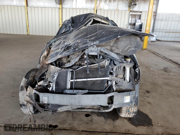 2002 Jeep Grand Cherokee Limited with VIN 1J8GX58N72C294837, listed as a Copart auction lot 56201145 with 218,345 mi miles and Salvage Title. Bid and sale history available at DreamBid. Image 5.