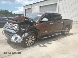 2015 Toyota Tundra Limited with VIN 5TFHW5F19FX448722, listed as a Copart auction lot 61192055 with 223,527 mi miles and Salvage title. Bid and sale history available at DreamBid. Image 1.