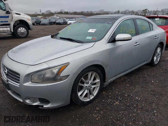 2010 Nissan Maxima 3.5 SV with VIN 1N4AA5APXAC868457, listed as a IAAI auction lot 41959523 with Not Provided miles. Bid and sale history available at carsss.com. Image 2.
