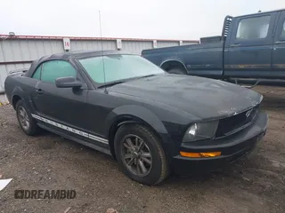 2006 Ford Mustang Standard with VIN 1ZVFT84N065190560, listed as a IAAI auction lot 41350179 with Not Provided miles and . Bid and sale history available at carsss.com. Image 1.
