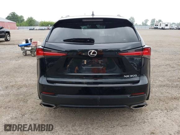 2021 Lexus NX 300 with VIN JTJGARDZ1M2256342, listed as a Copart auction lot 58736975 with 53,085 mi miles and Clean title. Bid and sale history available at DreamBid. Image 6.