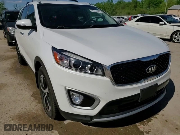2017 Kia Sorento EX z VIN 5XYPHDA59HG290348, wystawiony jako Copart lot #56128965 z przebiegiem 105 145 mil mil oraz Szkoda całkowita • Salvage title. Historia ofert i sprzedaży dostępna na DreamBid. Obrazek 14.