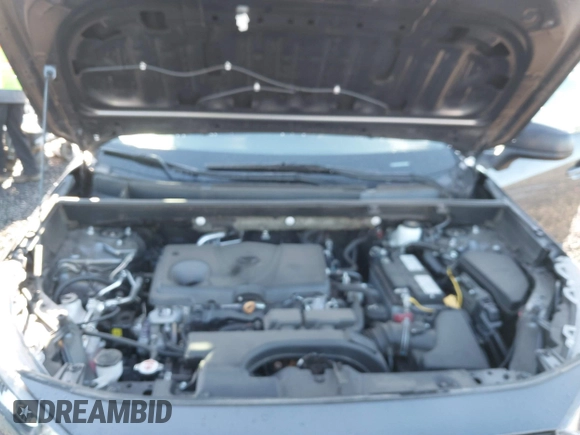 2019 Toyota RAV4 LE with VIN 2T3F1RFV0KW019791, listed as a IAAI auction lot 41499146 with 84,175 mi miles. Bid and sale history available at carsss.com. Image 10.