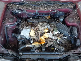 1990 Toyota Corolla z VIN 1NXAE94A1LZ117401, wystawiony jako IAAI lot #41755431 z przebiegiem 81 786 mil mil oraz . Historia ofert i sprzedaży dostępna na DreamBid. Obrazek 10.