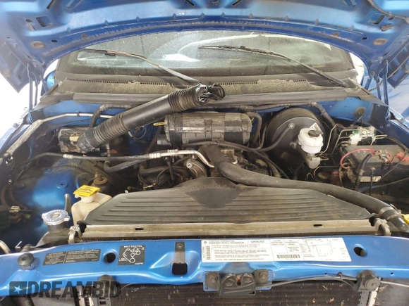 1999 Dodge 1500 with VIN 3B7HF13Z1XM598804, listed as a Copart auction lot 54130045 with 191,166 mi miles and Salvage Title. Bid and sale history available at DreamBid. Image 11.
