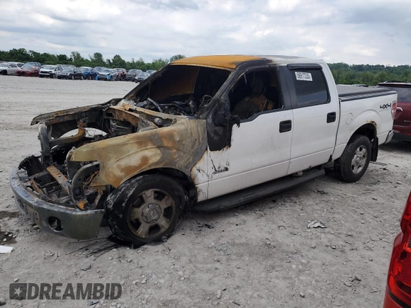 2013 Ford F-150 XL with VIN 1FTFW1ET9DKD49587, listed as a Copart auction lot 56917335 with Not provided miles and Salvage title. Bid and sale history available at DreamBid. Image 1.