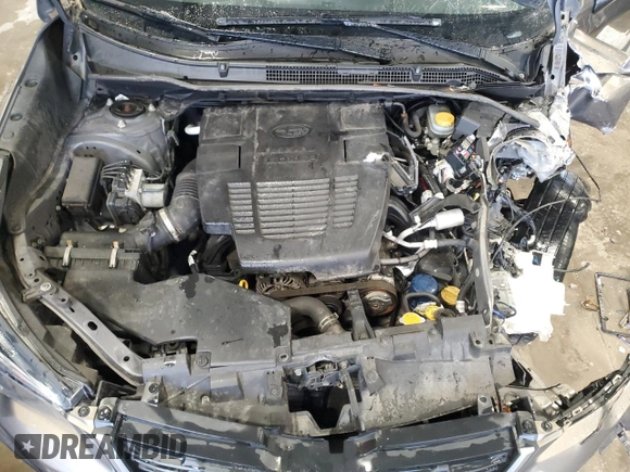 2019 Subaru Forester Premium with VIN JF2SKAGC6KH477921, listed as a Copart auction lot 48183475 with 0 mi miles and Non Repairable. Bid and sale history available at carsss.com. Image 12.