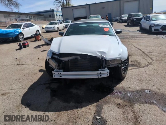 2014 Ford Mustang V6 with VIN 1ZVBP8EM7E5299993, listed as a Copart auction lot 50263105 with 127,889 mi miles and Salvage title. Bid and sale history available at DreamBid. Image 14.