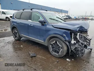 2024 Kia Telluride S with VIN 5XYP6DGC4RG413325, listed as a Copart auction lot 59682595 with 46,794 mi miles and Non repairable. Bid and sale history available at DreamBid. Image 4.