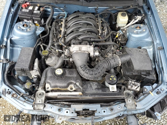 2006 Ford Mustang GT Deluxe with VIN 1ZVHT85H065258602, listed as a Copart auction lot 49955095 with 80,065 mi miles and Salvage Title. Bid and sale history available at carsss.com. Image 11.