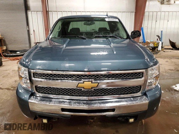2010 Chevrolet Silverado 1500 LT with VIN 1GCSCSE04AZ252920, listed as a Copart auction lot 46356525 with 134,260 mi miles and Clean Title. Bid and sale history available at DreamBid. Image 5.