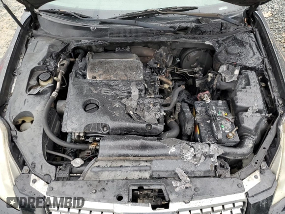 2005 Nissan Maxima 3.5 SE with VIN 1N4BA41E45C827163, listed as a Copart auction lot 84108174 with 0 mi miles and Salvage Title. Bid and sale history available at carsss.com. Image 11.
