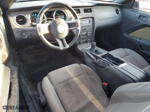 2013 Ford Mustang V6 with VIN 1ZVBP8AM2D5220881, listed as a Copart auction lot 50073325 with 173152 miles and Clean Title. Bid and sale history available at carsss.com. Image 8.