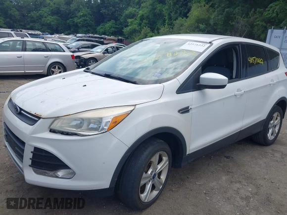 2014 Ford Escape SE z VIN 1FMCU9GX1EUD66666, wystawiony jako IAAI lot #42571222 z przebiegiem Nie podano mil oraz . Historia ofert i sprzedaży dostępna na DreamBid. Obrazek 2.