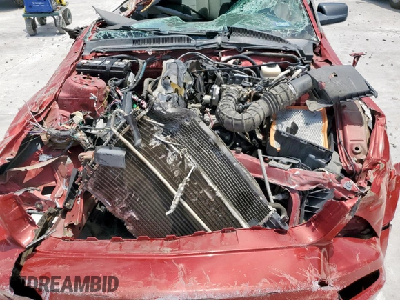 2008 Ford Mustang Deluxe with VIN 1ZVHT80NX85209231, listed as a Copart auction lot 61618885 with Not provided miles and Salvage title. Bid and sale history available at DreamBid. Image 11.