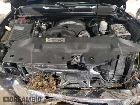 2010 Chevrolet Silverado 1500 LT with VIN 3GCRKSE3XAG266154, listed as a Copart auction lot 46147335 with 117,554 mi miles and Salvage Title. Bid and sale history available at DreamBid. Image 13.