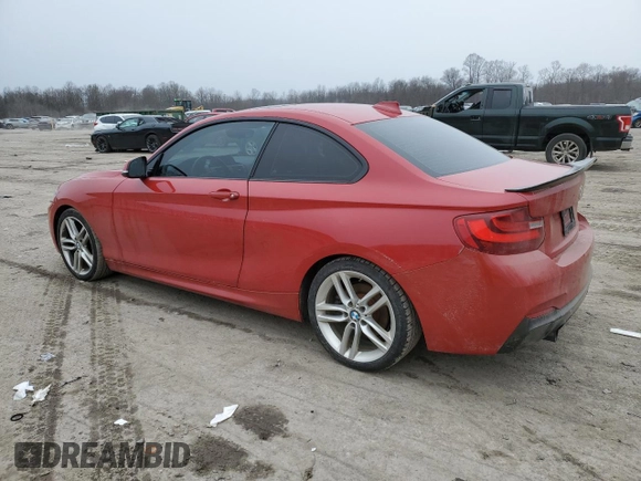 2014 BMW 2 Series 228i with VIN WBA1F5C5XEVW97921, listed as a Copart auction lot 44850825 with 120,173 mi miles and Salvage title. Bid and sale history available at DreamBid. Image 2.