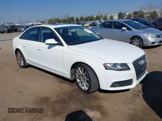 2010 Audi A4 Premium z VIN WAUAFAFL9AN017245, wystawiony jako IAAI lot #41625443 z przebiegiem 114 803 mil mil oraz . Historia ofert i sprzedaży dostępna na DreamBid. Obrazek 1.