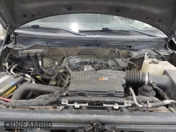 2010 Ford F-150 XL with VIN 1FTMF1EW9AKA57175, listed as a IAAI auction lot 42636902 with 85,165 mi miles and . Bid and sale history available at DreamBid. Image 10.