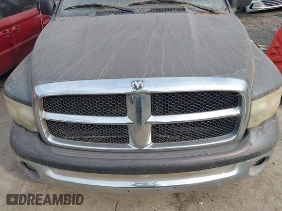 2002 Dodge 1500 with VIN 3D7HA18N82G158726, listed as a IAAI auction lot 41504742 with 282,573 mi miles and . Bid and sale history available at DreamBid. Image 6.