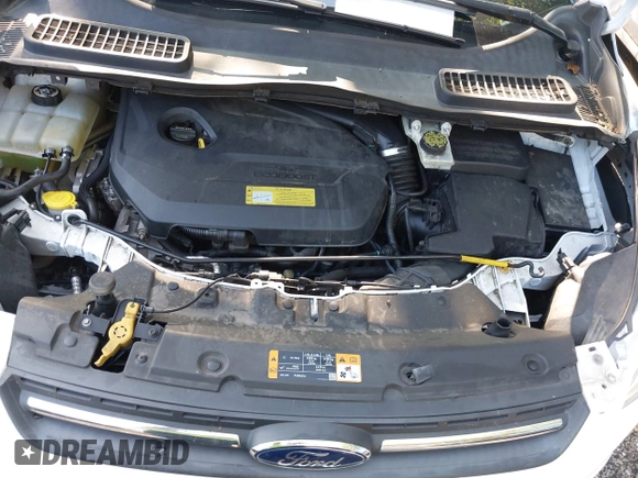 2013 Ford Escape SE with VIN 1FMCU0GX4DUC68046, listed as a IAAI auction lot 42839369 with 185,429 mi miles and . Bid and sale history available at DreamBid. Image 10.