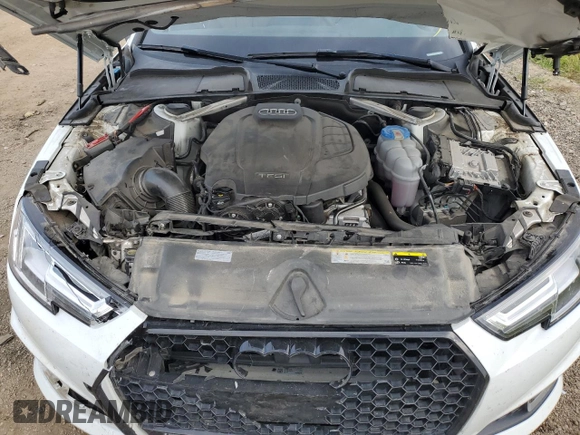 2019 Audi A4 Premium Plus with VIN WAUENAF42KA007534, listed as a Copart auction lot 62229882 with 52,432 mi miles. Bid and sale history available at carsss.com. Image 7.