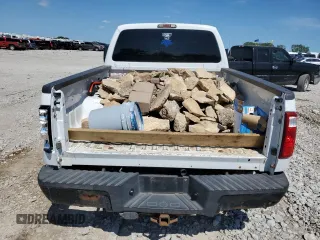 2010 Ford F-250 XL with VIN 1FTSX2BR0AEA53166, listed as a Copart auction lot 61913485 with Not provided miles and Salvage title. Bid and sale history available at DreamBid. Image 6.