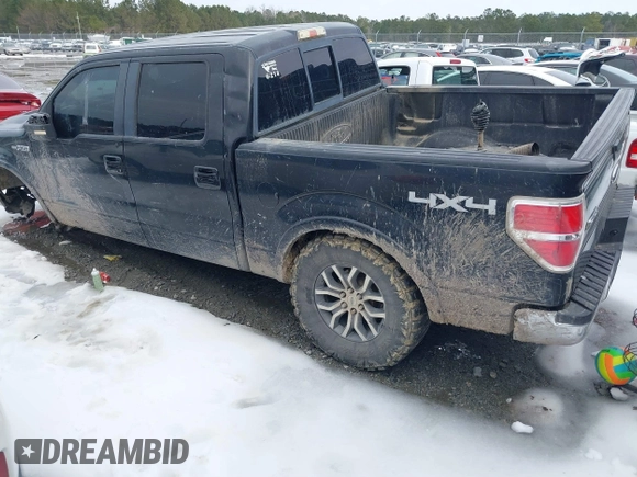 2010 Ford F-150 XL with VIN 1FTFW1EVXAFA74365, listed as a IAAI auction lot 41354493 with 196,559 mi miles. Bid and sale history available at carsss.com. Image 3.