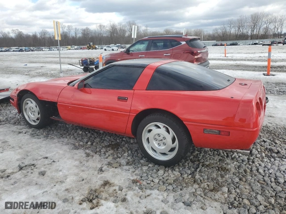 1994 Chevrolet Corvette with VIN 1G1YY22P1R5117824, listed as a Copart auction lot 42598895 with 47,882 mi miles and Salvage Title. Bid and sale history available at carsss.com. Image 2.