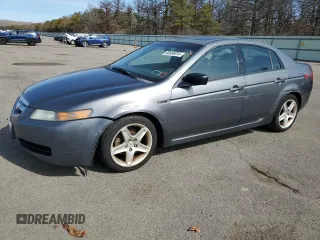 2005 Acura TL with VIN 19UUA66255A031208, listed as a Copart auction lot 48606815 with 217,243 mi miles and Clean Title. Bid and sale history available at carsss.com. Image 1.