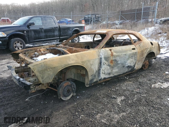 2016 Dodge Challenger R/T Plus with VIN 2C3CDZBT5GH101798, listed as a Copart auction lot 53256135 with Not provided miles and Non repairable. Bid and sale history available at DreamBid. Image 1.