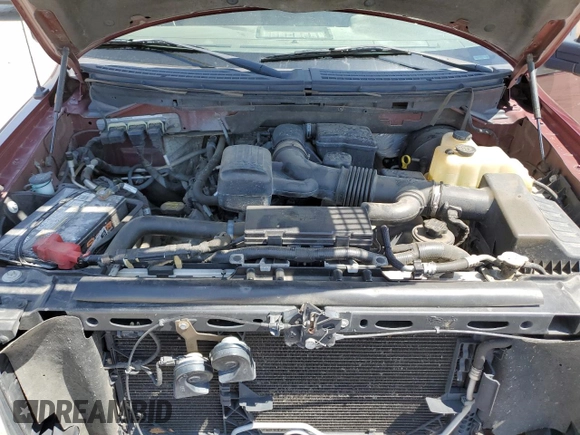 2009 Ford F-150 XL with VIN 1FTPW12V59KC22482, listed as a Copart auction lot 53096235 with 222,311 mi miles and Salvage Title. Bid and sale history available at carsss.com. Image 11.