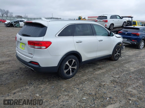 2017 Kia Sorento EX with VIN 5XYPH4A13HG294599, listed as a IAAI auction lot 41207089 with 41,642 mi miles and . Bid and sale history available at DreamBid. Image 4.